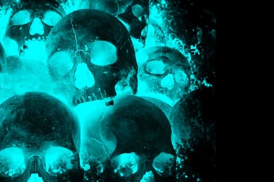 Wallpapers Skeleton Rock Skull Desktop Backgrounds 1024x768 ...