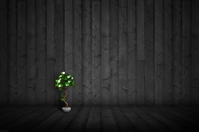 Black Wood Wallpapers High Quality