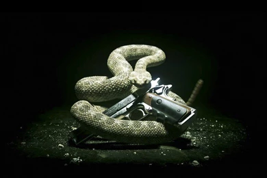 Share Your Wallpapers Page 82