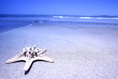 Beach Beach 1920x1200px ► High Definition Photo