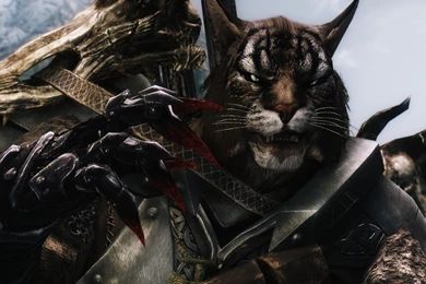 Skyrim Wallpapers   Wallpapers Cave