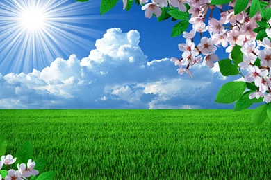 Spring 79 Free Wallpapers Free Desktop Wallpapers Hd Wallpapers ...