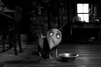 Creepy Forest Free Desktop Backgrounds And Wallpapers