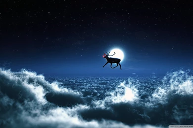 Rudolph Flies Solo [Wallpaper]