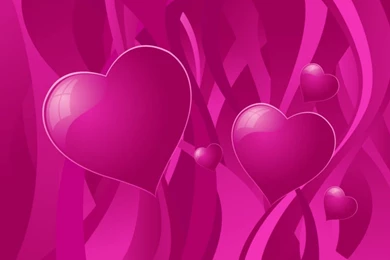 Pigeon Heart Love Hd Wallpapers Free