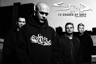 Music Wallpapers   Download Free Staind Wallpapers, Photos ...