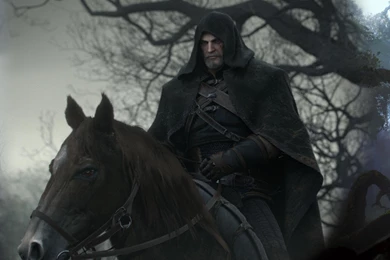 I Combined Some Wallpapers From The Witcher 3 Into A Dual Screen ...