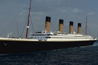 Bluedog Films Unleash Your Creativity BlueDog Films