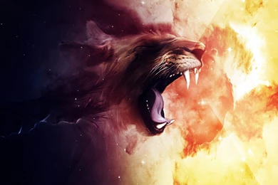 133340d1363857999 lion wallpapers lion wallpapers 2560 x 1600.jpg