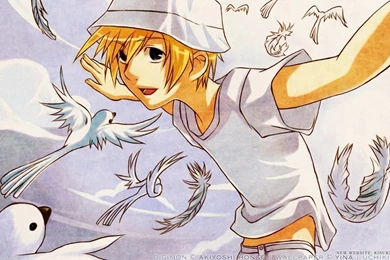 Digimon,Angewomon Digimon Angewomon Agumon Gatomon Gabumon Palmon ...