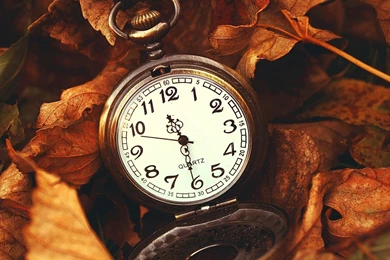 Download Wallpapers 3840x2160 Leaves, Time, Macro, Nature, Hours 4K ...