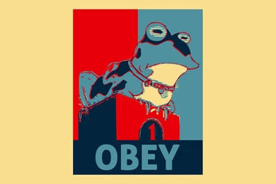 Download Hypnotoad Wallpapers 1024x768