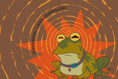 Download Wallpapers, Download 2560x1600 Futurama Hypnotoad ...