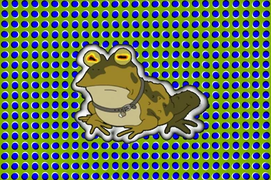 Wallpapers Lsd Trippy Cats Gifs Hypnotoad 319692.8 1024x768 ...