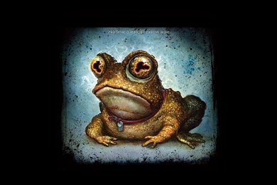 Futurama, TV, Hypnotoad Wallpapers HD / Desktop And Mobile Backgrounds