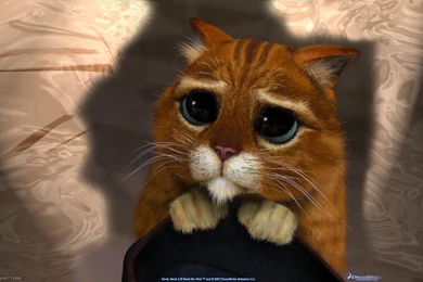 Shrek 2 Cat, 1440x900 Pixels : Wallpapers Tagged Fun Wallpapers ...