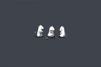Wallpaper: Funny, Fun, Mice, Grey Backgrounds Wallpapers