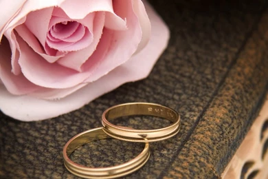 Rose And Corner Of The Ring Wallpaper, Rose Flower Images, Rose ...