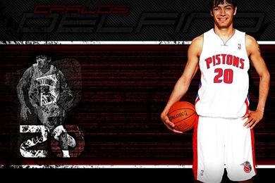 NBA Detroit Pistons Carlos Delfino Pictures 14   Wallcoo.net