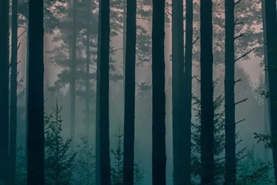 Dope iPhone Backgrounds