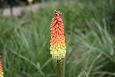 Free Online Wallpapers For Computer   Wallpapers Cave