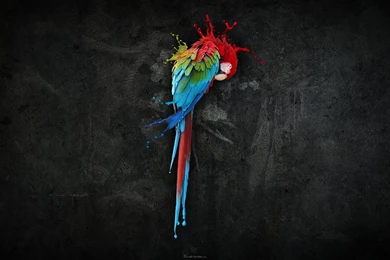 Wallpapers   HD Desktop Wallpapers Free Online: Free Desktop ...