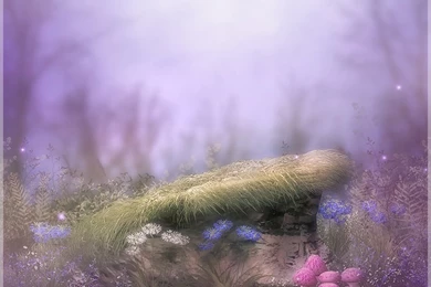 Fairy Delights Backgrounds 2D Sveva