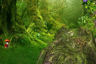 File Name : Fairy background 96 chai3721post.jpg EPhotoBay