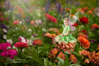 My Favorite Digital Backgrounds For Fairy Composite Pictures ...