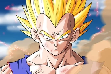 Majin Vegeta Wallpapers   Wallpaper.