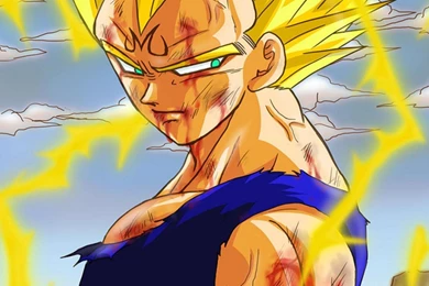 Majin Vegeta Wallpapers   (