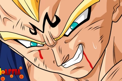 Majin Vegeta Wallpapers   Wallpapers Cave
