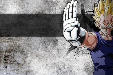 Majin Vegeta Wallpapers   (