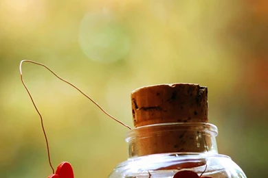 Mobile Wallpapers Hd Love Iphone 6 Plus Wallpapers