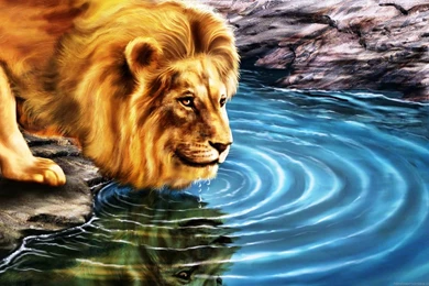 HD Wallpapers 1080P, Desktop, HD Wallpaper, HD Wallpapers 1080P 34 ...