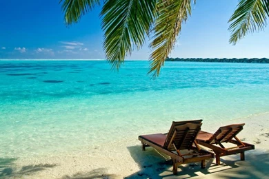 Ocean,beach Ocean Beach Palm Maldives Indian 2560x1600 Wallpapers ...