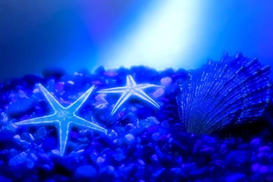 Wallpaper, Vault, Desktop, Wallpapers, Blue, Stage, Ocean ...