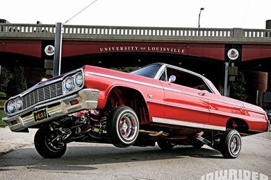 1964 Chevrolet Impala   Pit Bull Four Pump Set Up   Lowrider Magazine
