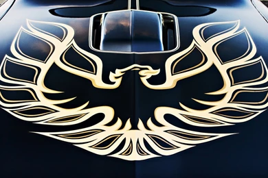 Firebird Wallpapers By Danitzh On DeviantArt