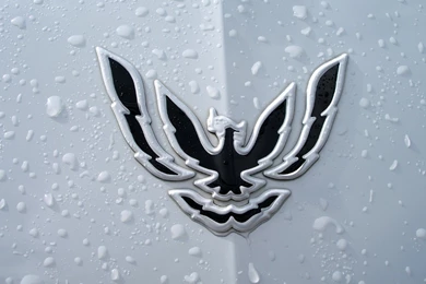 Firebird Logo Wallpapers By RawrImAMonster On DeviantArt