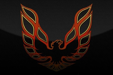 Phoenix Firebird Pontiac Carbon Fiber HD Wallpaper,cars HD ...