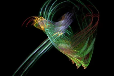 Firebird Wallpapers By ID missing On DeviantArt