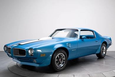 Pontiac Firebird 2013   Image