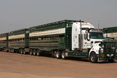 69 Kenworth HD Wallpapers