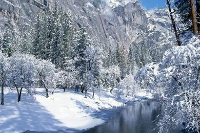 Snowy Mountains With Trees   Wallpaper.