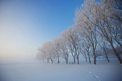 Canada Photo – Snow Wallpapers – National Geographic Photo Of The Day