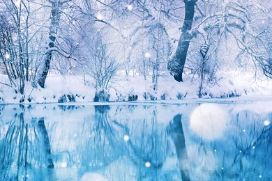 Snow iPad Air Wallpapers