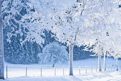 Game Assasin Creed 3 Wallpapers HD