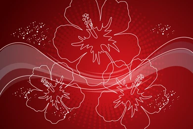 Tropical Flowers Backgrounds