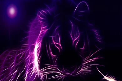 Free Tiger Wallpapers